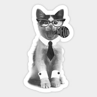 Mr' Cat Sticker